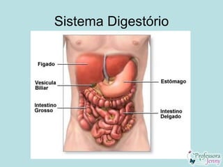 Sistema Digestório
 