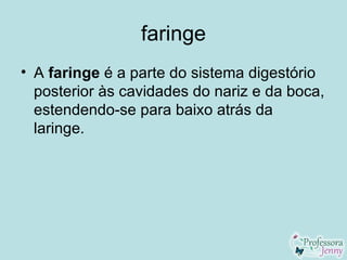 faringe
• A faringe é a parte do sistema digestório
  posterior às cavidades do nariz e da boca,
  estendendo-se para baixo atrás da
  laringe.
 