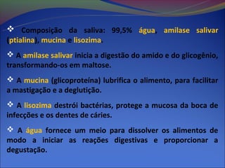  Composição da saliva: 99,5% água, amilase salivar
(ptialina), mucina e lisozima.
 A amilase salivar inicia a digestão do amido e do glicogênio,
transformando-os em maltose.
 A mucina (glicoproteína) lubrifica o alimento, para facilitar
a mastigação e a deglutição.
 A lisozima destrói bactérias, protege a mucosa da boca de
infecções e os dentes de cáries.
 A água fornece um meio para dissolver os alimentos de
modo a iniciar as reações digestivas e proporcionar a
degustação.
 