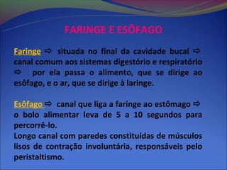 FARINGE E ESÔFAGO
Faringe  situada no final da cavidade bucal 
canal comum aos sistemas digestório e respiratório
 por ela passa o alimento, que se dirige ao
esôfago, e o ar, que se dirige à laringe.

Esôfago  canal que liga a faringe ao estômago 
o bolo alimentar leva de 5 a 10 segundos para
percorrê-lo.
Longo canal com paredes constituídas de músculos
lisos de contração involuntária, responsáveis pelo
peristaltismo.
 