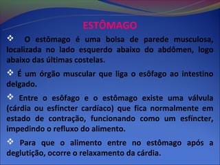 ESTÔMAGO
 O estômago é uma bolsa de parede musculosa,
localizada no lado esquerdo abaixo do abdômen, logo
abaixo das últimas costelas.
 É um órgão muscular que liga o esôfago ao intestino
delgado.
 Entre o esôfago e o estômago existe uma válvula
(cárdia ou esfíncter cardíaco) que fica normalmente em
estado de contração, funcionando como um esfíncter,
impedindo o refluxo do alimento.
 Para que o alimento entre no estômago após a
deglutição, ocorre o relaxamento da cárdia.
 