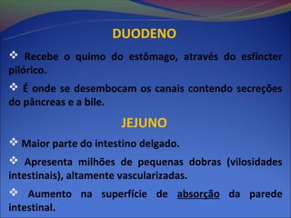 DUODENO
 Recebe o quimo do estômago, através do esfíncter
pilórico.
 É onde se desembocam os canais contendo secreções
do pâncreas e a bile.
                       JEJUNO
 Maior parte do intestino delgado.
 Apresenta milhões de pequenas dobras (vilosidades
intestinais), altamente vascularizadas.
 Aumento na superfície de absorção da parede
intestinal.
 