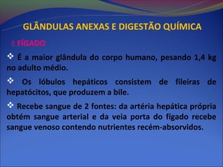 GLÂNDULAS ANEXAS E DIGESTÃO QUÍMICA
  FÍGADO
 É a maior glândula do corpo humano, pesando 1,4 kg
no adulto médio.
 Os lóbulos hepáticos consistem de fileiras de
hepatócitos, que produzem a bile.
 Recebe sangue de 2 fontes: da artéria hepática própria
obtém sangue arterial e da veia porta do fígado recebe
sangue venoso contendo nutrientes recém-absorvidos.
 