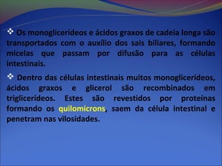  Os monoglicerídeos e ácidos graxos de cadeia longa são
transportados com o auxílio dos sais biliares, formando
micelas que passam por difusão para as células
intestinais.
 Dentro das células intestinais muitos monoglicerídeos,
ácidos graxos e glicerol são recombinados em
triglicerídeos. Estes são revestidos por proteínas
formando os quilomicrons, saem da célula intestinal e
penetram nas vilosidades.
 
