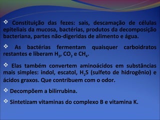  Constituição das fezes: sais, descamação de células
epiteliais da mucosa, bactérias, produtos da decomposição
bacteriana, partes não-digeridas de alimento e água.
    As bactérias fermentam quaisquer carboidratos
restantes e liberam H2, CO2 e CH4.
 Elas também convertem aminoácidos em substâncias
mais simples: indol, escatol, H2S (sulfeto de hidrogênio) e
ácidos graxos. Que contribuem com o odor.
 Decompõem a bilirrubina.
 Sintetizam vitaminas do complexo B e vitamina K.
 