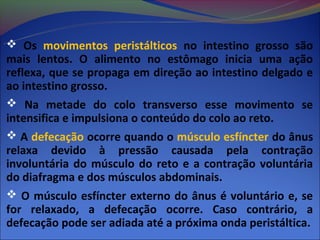  Os movimentos peristálticos no intestino grosso são
mais lentos. O alimento no estômago inicia uma ação
reflexa, que se propaga em direção ao intestino delgado e
ao intestino grosso.
 Na metade do colo transverso esse movimento se
intensifica e impulsiona o conteúdo do colo ao reto.
 A defecação ocorre quando o músculo esfíncter do ânus
relaxa devido à pressão causada pela contração
involuntária do músculo do reto e a contração voluntária
do diafragma e dos músculos abdominais.
 O músculo esfíncter externo do ânus é voluntário e, se
for relaxado, a defecação ocorre. Caso contrário, a
defecação pode ser adiada até a próxima onda peristáltica.
 