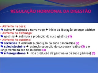 REGULAÇÃO HORMONAL DA DIGESTÃO
 