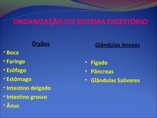 ORGANIZAÇÃO DO SISTEMA DIGESTÓRIO

             Órgãos      Glândulas Anexas
• Boca
• Faringe             • Fígado
• Esôfago             • Pâncreas
• Estômago            • Glândulas Salivares
• Intestino delgado
• Intestino grosso
• Ânus
 