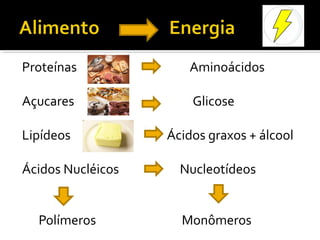 Proteínas             Aminoácidos

Açucares               Glicose

Lipídeos           Ácidos graxos + álcool

Ácidos Nucléicos     Nucleotídeos


  Polímeros          Monômeros
 