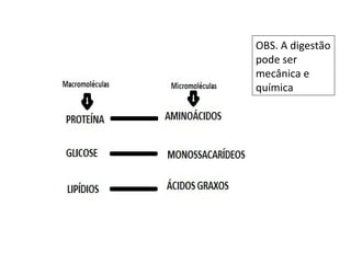 OBS. A digestão
pode ser
mecânica e
química
 