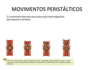 MOVIMENTOS PERISTÁLTICOS
É o movimento feito pela musculatura do sistema digestório
que empurra o alimento;
 
