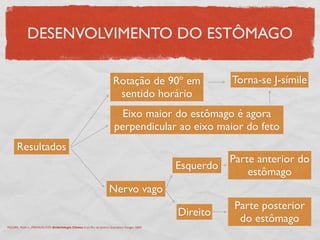 DESENVOLVIMENTO DO ESTÔMAGO
Resultados
Rotação de 90º em
sentido horário
Eixo maior do estômago é agora
perpendicular ao eixo maior do feto
Nervo vago
Esquerdo
Parte anterior do
estômago
Direito
Parte posterior
do estômago
Torna-se J-símile
MOORE, Keith L., PERSAUD,TVN. Embriologia Clínica. 6 ed. Rio de Janeiro: Guanabara Koogan, 2000.
 