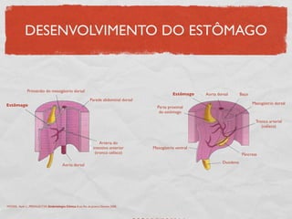 DESENVOLVIMENTO DO ESTÔMAGO
Parede abdominal dorsal
Artéria do
intestino anterior
(tronco celíaco)
Estômago
Primórdio do mesogástrio dorsal
Aorta dorsal
Aorta dorsal Baço
Mesogástrio dorsal
Tronco arterial
(celíaco)
Pâncreas
Duodeno
Mesogástrio ventral
Parte proximal
do estômago
Estômago
MOORE, Keith L., PERSAUD,TVN. Embriologia Clínica. 8 ed. Rio de Janeiro: Elsevier, 2008.
 