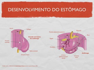 DESENVOLVIMENTO DO ESTÔMAGO
Esôfago
Grande curvatura
do estômago
Bolsa omental
Omento maior
Forame
omental
Aorta
Pâncreas
Baço
Estômago
Omento
maior
Artéria
gastro-omental
direita
Duodeno
Fígado
Parede abdominal posterior
MOORE, Keith L., PERSAUD,TVN. Embriologia Clínica. 8 ed. Rio de Janeiro: Elsevier, 2008.
 