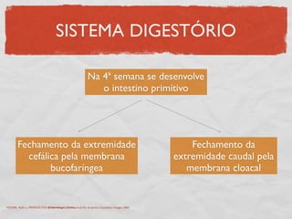 SISTEMA DIGESTÓRIO
Na 4ª semana se desenvolve
o intestino primitivo
Fechamento da extremidade
cefálica pela membrana
bucofaríngea
Fechamento da
extremidade caudal pela
membrana cloacal
MOORE, Keith L., PERSAUD,TVN. Embriologia Clínica. 6 ed. Rio de Janeiro: Guanabara Koogan, 2000.
 