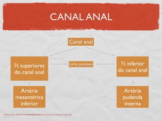 CANAL ANAL
Canal anal
⅔ superiores
do canal anal
⅓ inferior
do canal anal
Linha pectínea
Artéria
mesentérica
inferior
Artéria
pudenda
interna
MOORE, Keith L., PERSAUD,TVN. Embriologia Clínica. 6 ed. Rio de Janeiro: Guanabara Koogan, 2000.
 