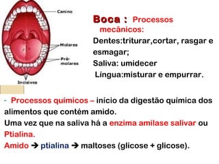 - Processos químicos – início da digestão química dos
alimentos que contém amido.
Uma vez que na saliva há a enzima amilase salivar ou
Ptialina.
Amido  ptialina  maltoses (glicose + glicose).
Boca :Boca : Processos
mecânicos:
Dentes:triturar,cortar, rasgar e
esmagar;
Saliva: umidecer
Língua:misturar e empurrar.
 