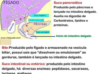 Suco pancreático
Produzido pelo pâncreas e
lançado no intestino delgado.
Auxilia na digestão de
Carboidratos, lipídios e
proteínas.
Bile:Produzido pelo fígado e armazenado na vesícula
biliar, possui sais que “dissolvem ou emulsionam” as
gorduras, também é lançada no intestino delgado.
Suco intestinal ou entérico: produzido pelo intestino
delgado, há diversas enzimas: peptidases, sacarases,
Início do intestino delgadoInício do intestino delgado
 