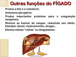 Outras funções do FÍGADOOutras funções do FÍGADO
• Produz a bile e o colesterol;
• Armazena glicogênio;
• Produz importantes proteínas para a coagulação
sanguínea;
• Remove as toxinas do sangue, reduzindo seu efeito.
Exemplo: álcool, medicamentos, drogas...
• Elimina células “velhas” ou desgastadas.
 