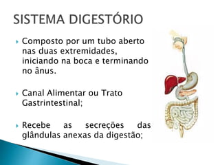  Composto por um tubo aberto
nas duas extremidades,
iniciando na boca e terminando
no ânus.
 Canal Alimentar ou Trato
Gastrintestinal;
 Recebe as secreções das
glândulas anexas da digestão;
 