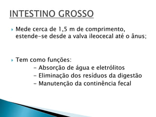  Mede cerca de 1,5 m de comprimento,
estende-se desde a valva ileocecal até o ânus;
 Tem como funções:
- Absorção de água e eletrólitos
- Eliminação dos resíduos da digestão
- Manutenção da continência fecal
 