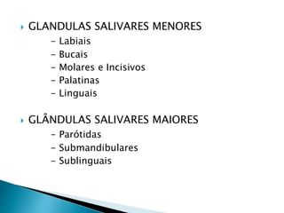  GLANDULAS SALIVARES MENORES
- Labiais
- Bucais
- Molares e Incisivos
- Palatinas
- Linguais
 GLÂNDULAS SALIVARES MAIORES
- Parótidas
- Submandibulares
- Sublinguais
 