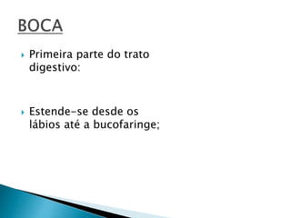  Primeira parte do trato
digestivo:
 Estende-se desde os
lábios até a bucofaringe;
 
