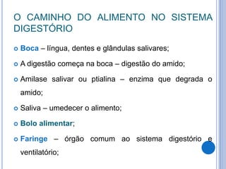 O CAMINHO DO ALIMENTO NO SISTEMA
DIGESTÓRIO
 Boca – língua, dentes e glândulas salivares;
 A digestão começa na boca – digestão do amido;
 Amilase salivar ou ptialina – enzima que degrada o
amido;
 Saliva – umedecer o alimento;
 Bolo alimentar;
 Faringe – órgão comum ao sistema digestório e
ventilatório;
 