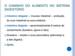 O CAMINHO DO ALIMENTO NO SISTEMA
DIGESTÓRIO
 Intestino delgado – mucosa intestinal – produção
do suco intestinal ou suco entérico;
 Intestino delgado – aproximadamente 6 metros de
comprimento (duodeno, jejuno e íleo);
 Duodeno – recebe o suco pancreático (pâncreas) e
a bile (fígado);
 Quilo;
 