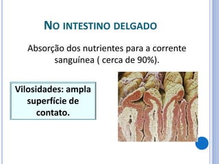 NO INTESTINO DELGADO
Absorção dos nutrientes para a corrente
sanguínea ( cerca de 90%).
Vilosidades: ampla
superfície de
contato.
 