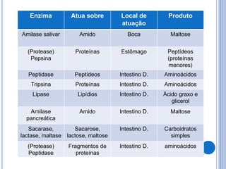 Enzima Atua sobre Local de
atuação
Produto
Amilase salivar Amido Boca Maltose
(Protease)
Pepsina
Proteínas Estômago Peptídeos
(proteínas
menores)
Peptidase Peptídeos Intestino D. Aminoácidos
Tripsina Proteínas Intestino D. Aminoácidos
Lipase Lipídios Intestino D. Ácido graxo e
glicerol
Amilase
pancreática
Amido Intestino D. Maltose
Sacarase,
lactase, maltase
Sacarose,
lactose, maltose
Intestino D. Carboidratos
simples
(Protease)
Peptidase
Fragmentos de
proteínas
Intestino D. aminoácidos
 