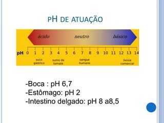 PH DE ATUAÇÃO
-Boca : pH 6,7
-Estômago: pH 2
-Intestino delgado: pH 8 a8,5
 