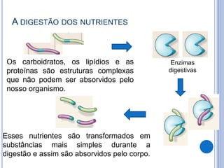 A DIGESTÃO DOS NUTRIENTES
Enzimas
digestivas
Os carboidratos, os lipídios e as
proteínas são estruturas complexas
que não podem ser absorvidos pelo
nosso organismo.
Esses nutrientes são transformados em
substâncias mais simples durante a
digestão e assim são absorvidos pelo corpo.
 
