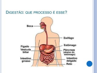 DIGESTÃO: QUE PROCESSO É ESSE?
 