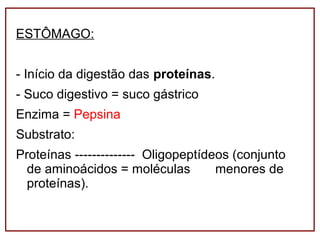 ESTÔMAGO:
- Início da digestão das proteínas.
- Suco digestivo = suco gástrico
Enzima = Pepsina
Substrato:
Proteínas -------------- Oligopeptídeos (conjunto
de aminoácidos = moléculas menores de
proteínas).
 