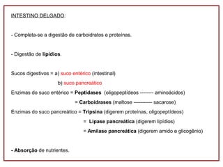 INTESTINO DELGADO:
- Completa-se a digestão de carboidratos e proteínas.
- Digestão de lipídios.
Sucos digestivos = a) suco entérico (intestinal)
b) suco pancreático
Enzimas do suco entérico = Peptidases (oligopeptídeos -------- aminoácidos)
= Carboidrases (maltose ----------- sacarose)
Enzimas do suco pancreático = Tripsina (digerem proteínas, oligopeptídeos)
= Lipase pancreática (digerem lipídios)
= Amilase pancreática (digerem amido e glicogênio)
- Absorção de nutrientes.
 
