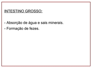INTESTINO GROSSO:
- Absorção de água e sais minerais.
- Formação de fezes.
 