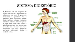 SISTEMA DIGESTÓRIO
É formado por um conjunto de
órgãos cuja função é transformar os
alimentos, por meio de processos
mecânicos e químicos. Ele é
formado pelos seguintes órgãos:
boca, faringe, esôfago, estômago,
intestino delgado, intestino grosso
e ânus. Além disso, está ligado a
glândulas anexas, que lançam sua
secreção no interior do tubo
digestório. São elas: glândulas
salivares, pâncreas, fígado e
vesícula biliar.
 