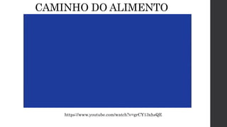 CAMINHO DO ALIMENTO
https://www.youtube.com/watch?v=grCY13xhsQE
 