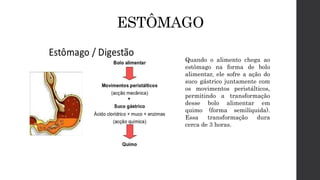 ESTÔMAGO
Quando o alimento chega ao
estômago na forma de bolo
alimentar, ele sofre a ação do
suco gástrico juntamente com
os movimentos peristálticos,
permitindo a transformação
desse bolo alimentar em
quimo (forma semilíquida).
Essa transformação dura
cerca de 3 horas.
 