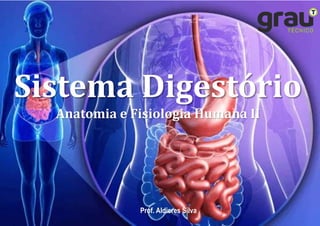 Anatomia e Fisiologia Humana II
Sistema Digestório
Prof. Aldieres Silva
 