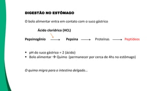 DIGESTÃO NO ESTÔMAGO
O bolo alimentar entra em contato com o suco gástrico
Ácido clorídrico (HCL)
Pepsinogênio Pepsina Proteínas Peptídeos
 pH do suco gástrico = 2 (ácido)
 Bolo alimentar  Quimo (permanecer por cerca de 4hs no estômago)
O quimo migra para o intestino delgado...
 