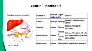 Controle Hormonal
 