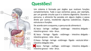 1
2
3
4
5 6
7
8
Um sistema é formado por órgãos que realizam funções
complementares. Tudo o que comemos passa, por exemplo,
por um grande circuito que é o sistema digestório. Durante o
percurso, o alimento faz paradas em alguns órgãos e passa
direto por outros, recebendo algumas substâncias. Órgãos,
estruturas e funções.
De acordo com o esquema, o percurso do alimento é:
A) boca - laringe - esôfago - estômago - intestino delgado -
intestino grosso - reto - ânus.
B) boca - faringe - fígado - estômago - intestino delgado -
intestino grosso - reto - ânus.
C) boca - faringe - laringe - estômago - fígado - vesícula biliar -
intestino delgado reto.
D) boca - faringe - esôfago - estômago - intestino delgado -
intestino grosso - reto - ânus.
Questões!
 