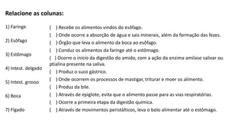 1) Faringe
2) Esôfago
3) Estômago
4) Intest. delgado
5) Intest. grosso
6) Boca
7) Fígado
( ) Recebe os alimentos vindos do esôfago.
( ) Onde ocorre a absorção de água e sais minerais, além da formação das fezes.
( ) Órgão que leva o alimento da boca ao esôfago.
( ) Conduz os alimentos da faringe até o estômago.
( ) Ocorre o início da digestão do amido, com a ação da enzima amilase salivar ou
ptialina presente na saliva.
( ) Produz o suco gástrico.
( ) Onde ocorrem os processos de mastigar, triturar e moer os alimento.
( ) Produz da bile.
( ) Através de epiglote, evita que o alimento passe para as vias respiratórias.
( ) Ocorre a primeira etapa da digestão química.
( ) Através de movimentos peristálticos, leva o bolo alimentar até o estômago.
Relacione as colunas:
 