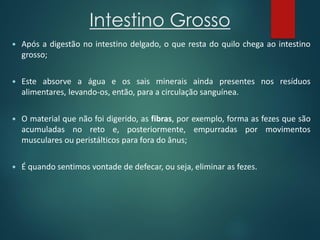 Intestino Grosso
 Após a digestão no intestino delgado, o que resta do quilo chega ao intestino
grosso;
 Este absorve a água e os sais minerais ainda presentes nos resíduos
alimentares, levando-os, então, para a circulação sanguínea.
 O material que não foi digerido, as fibras, por exemplo, forma as fezes que são
acumuladas no reto e, posteriormente, empurradas por movimentos
musculares ou peristálticos para fora do ânus;
 É quando sentimos vontade de defecar, ou seja, eliminar as fezes.
 
