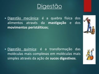 Digestão
 Digestão mecânica: é a quebra física dos
alimentos através da mastigação e dos
movimentos peristálticos;
 Digestão química: é a transformação das
moléculas mais complexas em moléculas mais
simples através da ação de sucos digestivos.
 