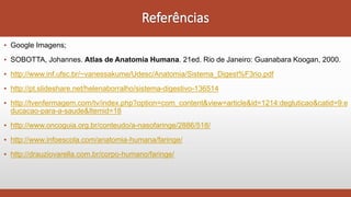 ▪ Google Imagens;
▪ SOBOTTA, Johannes. Atlas de Anatomia Humana. 21ed. Rio de Janeiro: Guanabara Koogan, 2000.
▪ http://www.inf.ufsc.br/~vanessakume/Udesc/Anatomia/Sistema_Digest%F3rio.pdf
▪ http://pt.slideshare.net/helenaborralho/sistema-digestivo-136514
▪ http://tvenfermagem.com/tv/index.php?option=com_content&view=article&id=1214:degluticao&catid=9:e
ducacao-para-a-saude&Itemid=18
▪ http://www.oncoguia.org.br/conteudo/a-nasofaringe/2886/518/
▪ http://www.infoescola.com/anatomia-humana/faringe/
▪ http://drauziovarella.com.br/corpo-humano/faringe/
 