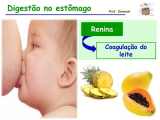 Prof. Emanuel
Renina
Coagulação do
leite
Digestão no estômago
 