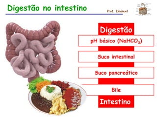 Digestão no intestino Prof. Emanuel
Digestão
pH básico (NaHCO3)
Suco intestinal
Suco pancreático
Bile
Intestino
 